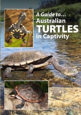 Australian Turtles In Captivity - Adam Elliott