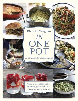 In One Pot - Blanche Vaughan