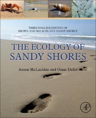 The Ecology of Sandy Shores - Anton McLachlan, Omar Defeo