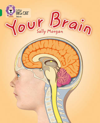 Your Brain - Sally Morgan