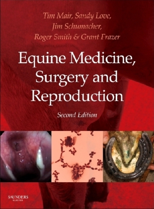 Equine Medicine, Surgery and Reproduction - 