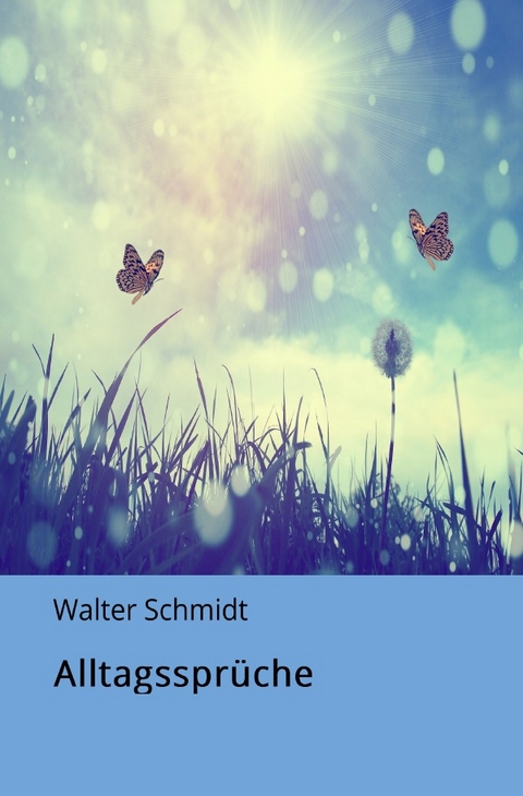 Alltagsspüche - Walter Schmidt