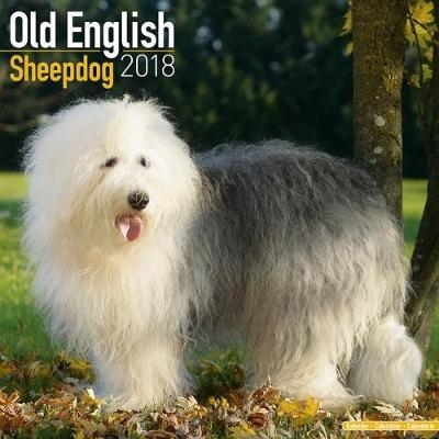 Old English Sheepdog Calendar 2018 -  Avonside Publishing Ltd