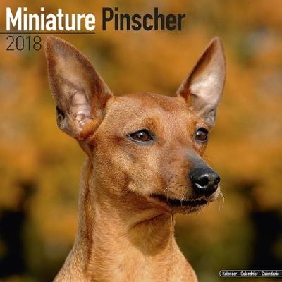 Miniature Pinscher Calendar 2018 -  Avonside Publishing Ltd