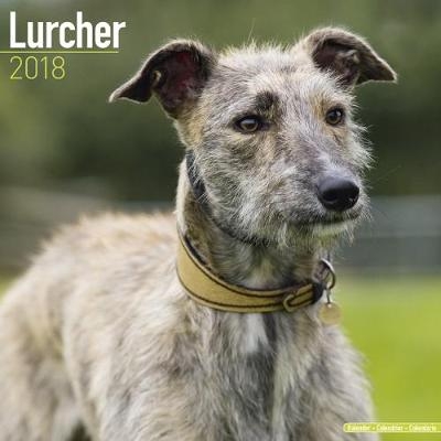 Lurcher Calendar 2018 -  Avonside Publishing Ltd