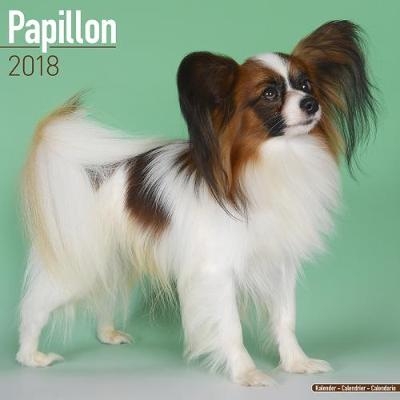 Papillon Calendar 2018 -  Avonside Publishing Ltd