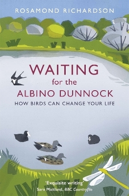 Waiting for the Albino Dunnock - Rosamond Richardson