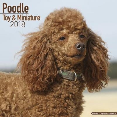 Poodle Toy & Miniature Calendar 2018 -  Avonside Publishing Ltd