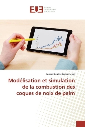 ModÃ©lisation et simulation de la combustion des coques de noix de palm - Samuel EugÃ¨ne Epesse Misse