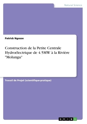 Construction de la Petite Centrale HydroÃ©lectrique de 4.5MW Ã  la RiviÃ¨re "Molungu" - Patrick Ngosse