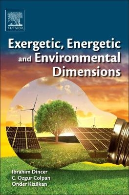 Exergetic, Energetic and Environmental Dimensions - 