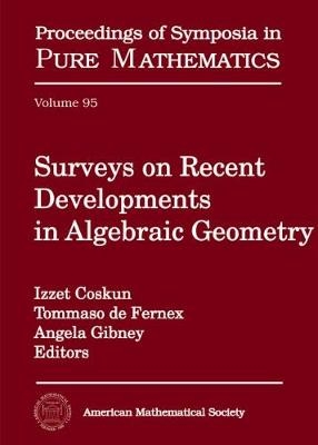 Surveys on Recent Developments in Algebraic Geometry - 