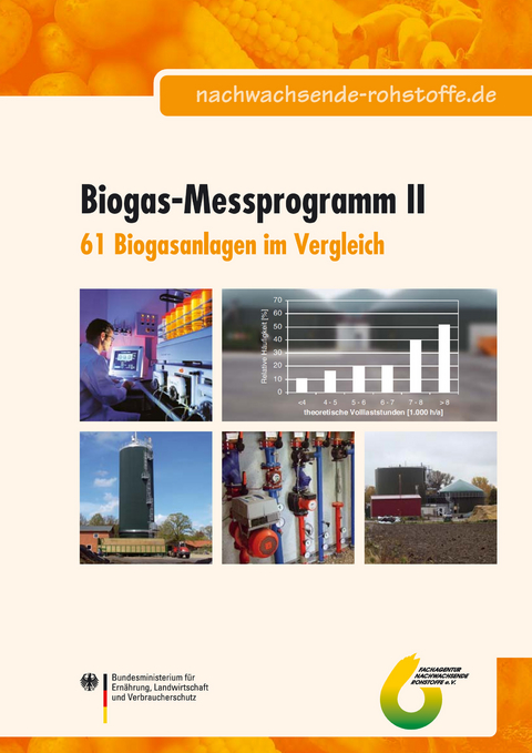 Biogasmessprogramm 2