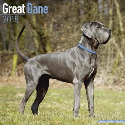 Great Dane Calendar 2018 -  Avonside Publishing Ltd