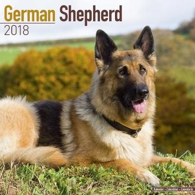 German Shepherd Calendar 2018 -  Avonside Publishing Ltd