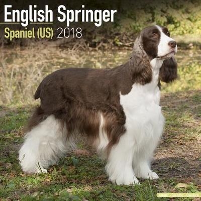 English Springer Spaniel (US) Calendar 2018 -  Avonside Publishing Ltd