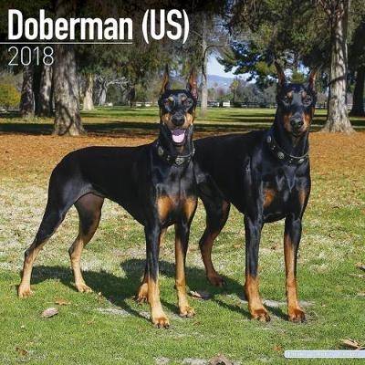 Doberman (US) Calendar 2018 -  Avonside Publishing Ltd