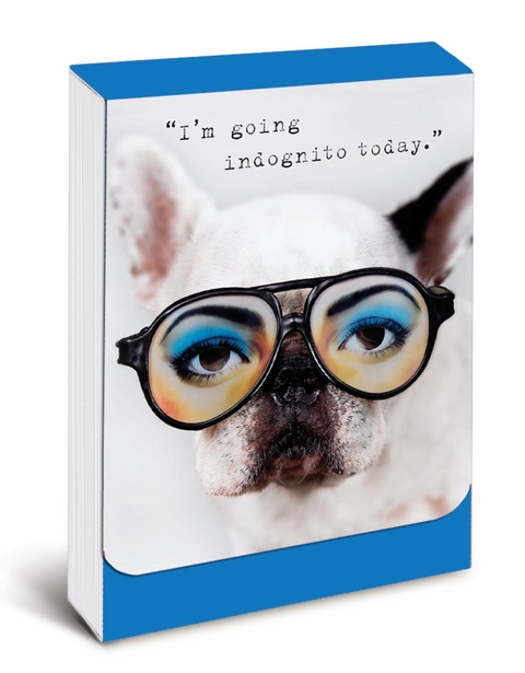 Pocket Notes: Dog in Disguise – Notizblock im praktischen Taschenformat: Getarnter Hund