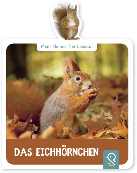 Das Eichhörnchen