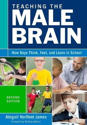 Teaching the Male Brain - 