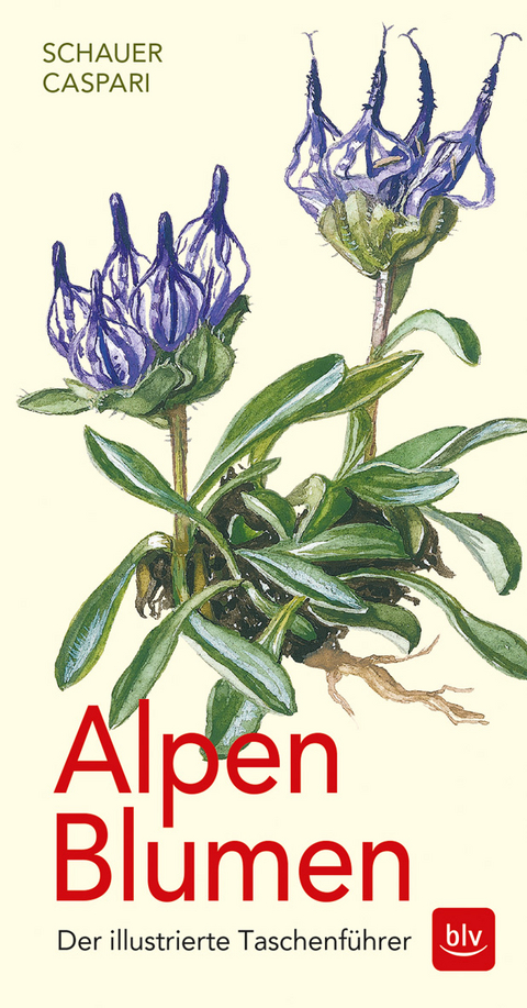 Alpen-Blumen - Stefan Caspari, Thomas Schauer, Claus Caspari