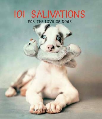 101 Salivations - Rachael Hale
