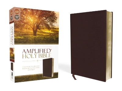 Amplified Holy Bible, Bonded Leather, Burgundy