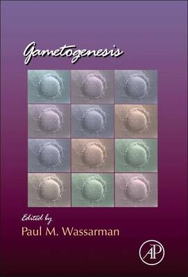 Gametogenesis - 