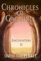 Chronicles of Galadria II - Encounters -  David Gay-Perret