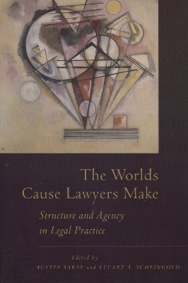 The Worlds Cause Lawyers Make - 