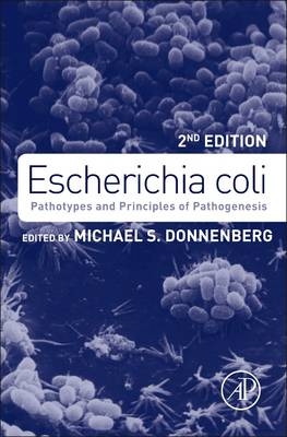 Escherichia coli - 