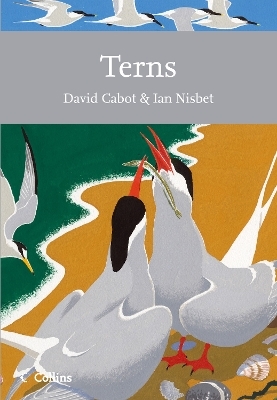 Terns - David Cabot, Ian Nisbet