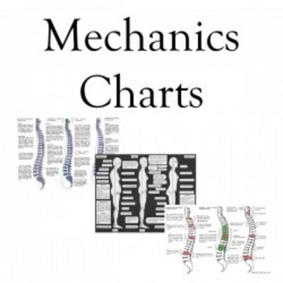 Posture Chart - John Wernham