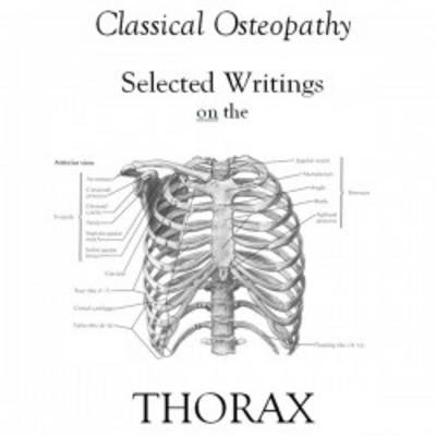 Selected Writings on the Thorax