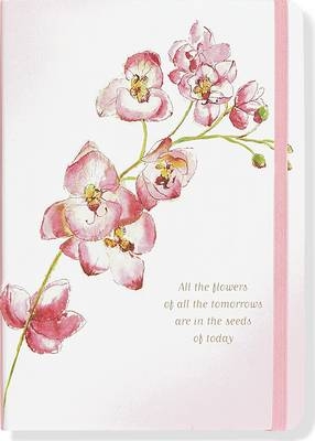 Sm Journal Orchid - 