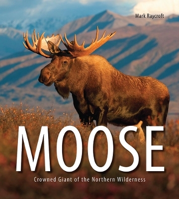 Moose: Crowned Giant of the Northern Wilderness - Mark Raycroft