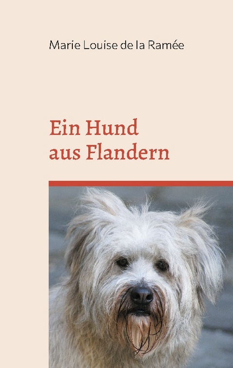 Ein Hund aus Flandern - Marie Louise de la Ramée