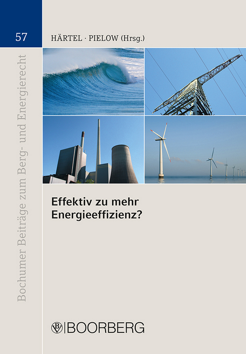 Effektiv zu mehr Energieeffizienz? - 