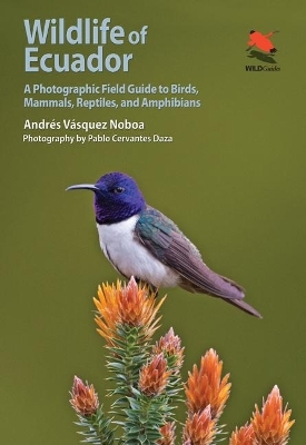 Wildlife of Ecuador - Andrés Vásquez Noboa