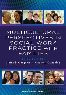 Multicultural Perspectives In Social Work Practice with Families, 3rd Edition - 