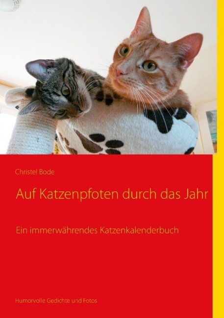 Auf Katzenpfoten durch das Jahr - Christel Bode