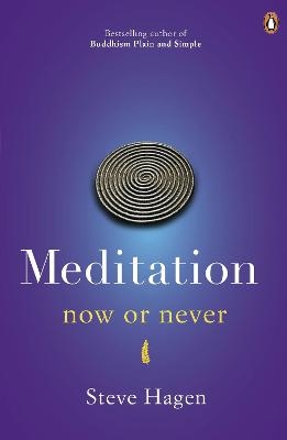 Meditation Now or Never - Steve Hagen