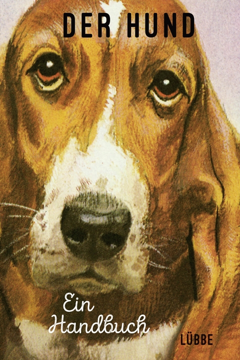 Der Hund. Ein Handbuch - Jason Hazeley, Joel Morris