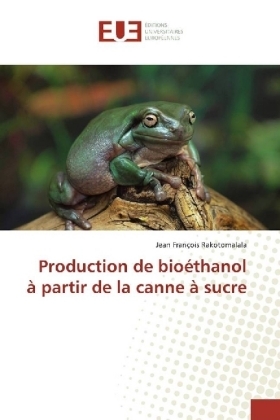Production de bioÃ©thanol Ã  partir de la canne Ã  sucre - Jean FranÃ§ois Rakotomalala