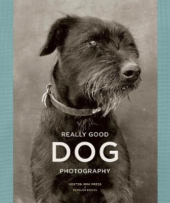 Really Good Dog Photography - Lucy Davies, Hoxton Mini Press,  Penguin Books