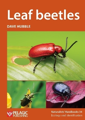 Leaf beetles - Dave Hubble