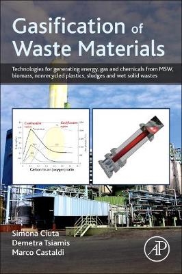 Gasification of Waste Materials - Simona Ciuta, Demetra Tsiamis, Marco J. Castaldi