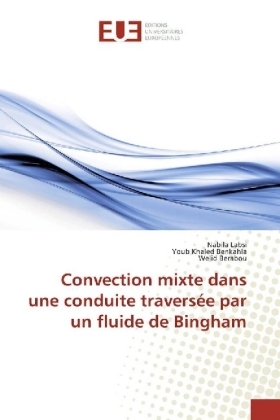 Convection mixte dans une conduite traversÃ©e par un fluide de Bingham - Nabila Labsi, Youb Khaled Benkahla, Welid Berabou