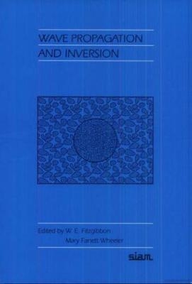 Wave Propagation and Inversion - 