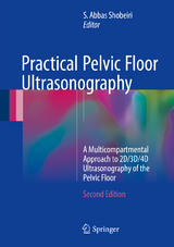 Practical Pelvic Floor Ultrasonography - 
